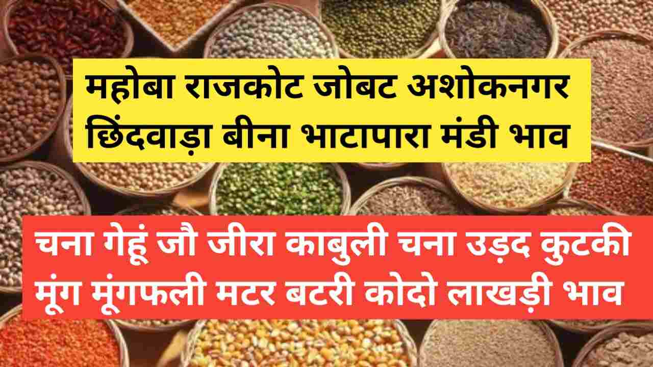 Market price 2 May 2024 Latest prices of Mahoba Rajkot Jobat Ashoknagar Bina Chhindwara Bhatapara mandis