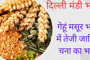 Delhi Mandi Rate 3 May: Increase in wheat, lentil, gram and moong moth prices. See all prices today's Delhi Mandi bhav