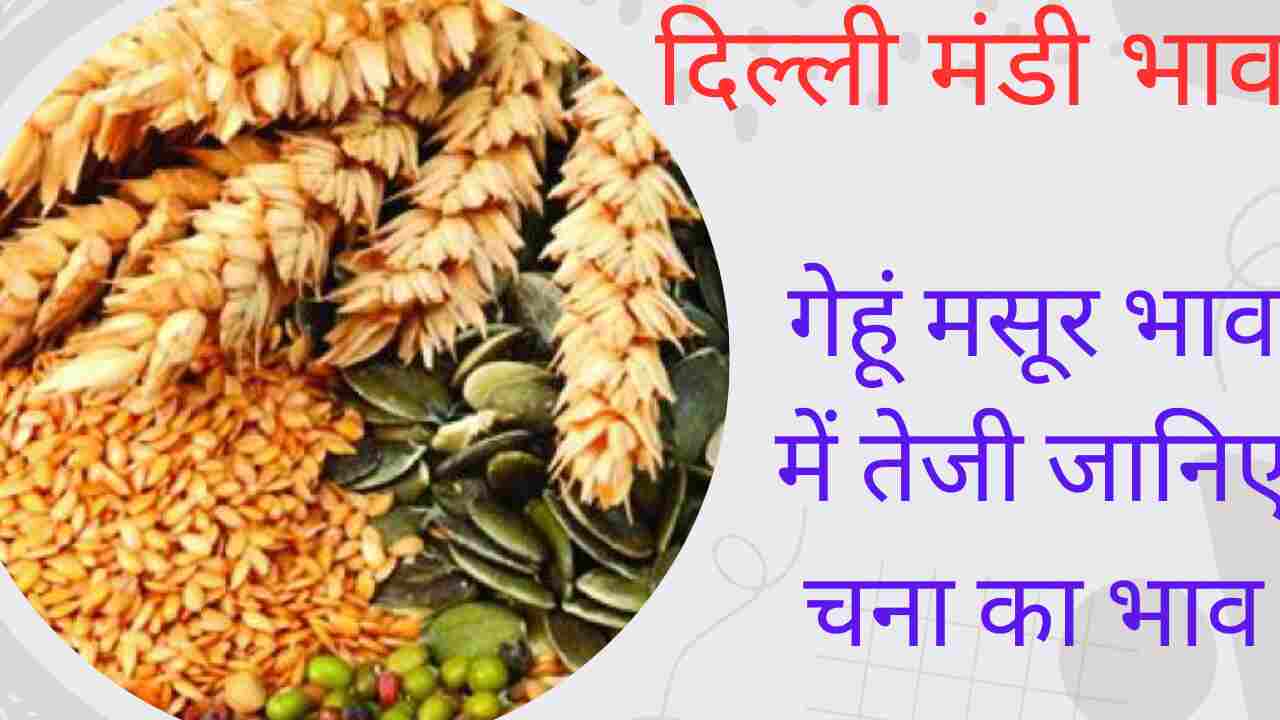 Delhi Mandi Rate 3 May: Increase in wheat, lentil, gram and moong moth prices. See all prices today's Delhi Mandi bhav