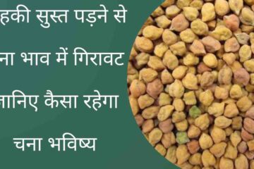 Chana prices fall due to slowdown in subscription. Our bullish recession report and chana price future 2024