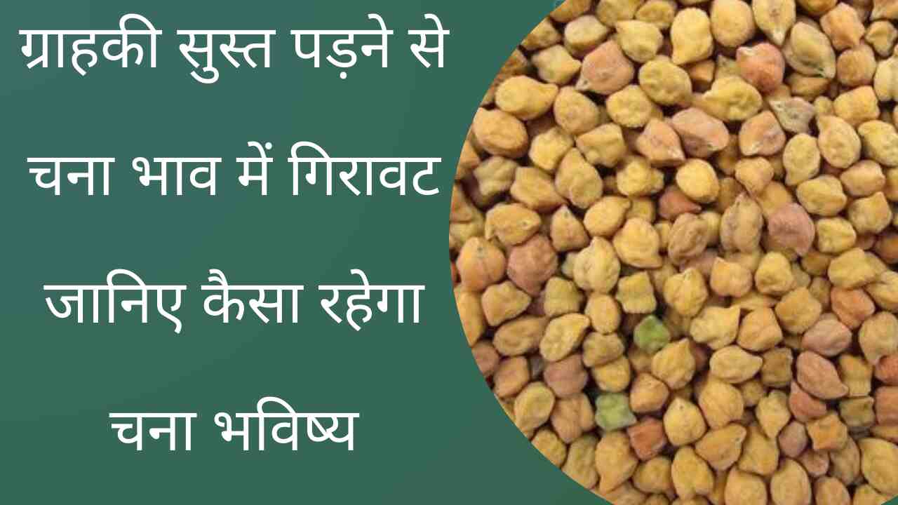 Chana prices fall due to slowdown in subscription. Our bullish recession report and chana price future 2024