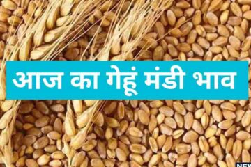 Wheat Price 3 May 2024: Know how was today's wheat market and where was the bullish and bearish market