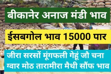 Bikaner Mandi Price 3 May 2024 Isabgol Price crossed 15000 Cumin Gram Peanut Fennel Barley Mustard Wheat Price
