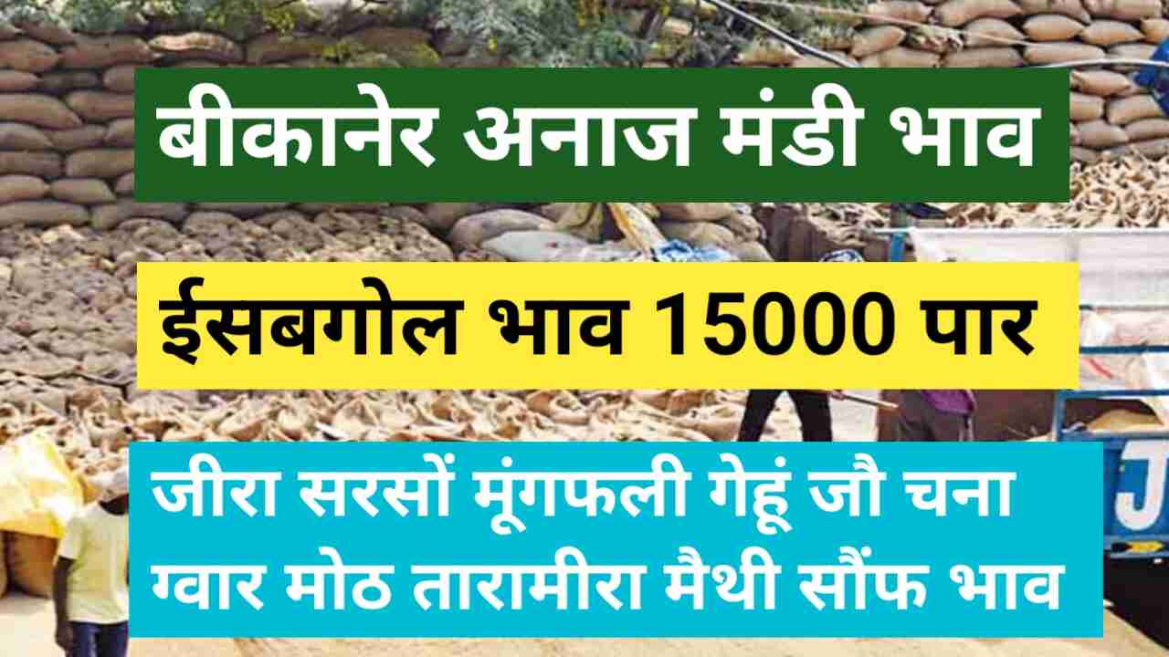 Bikaner Mandi Price 3 May 2024 Isabgol Price crossed 15000 Cumin Gram Peanut Fennel Barley Mustard Wheat Price