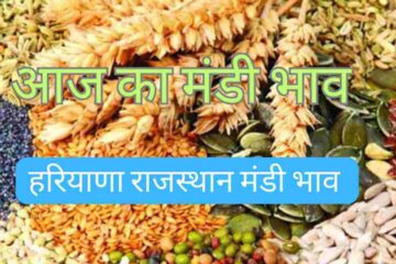 Market Price 3 May 2024: Narma Cotton Guar Mustard Gram Moong Lentil Groundnut Wheat Cumin Isabgol Barley Price