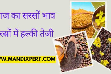 Mustard price 4 May 2024 Slight rise in mustard price, know the latest price of Kachchi Ghani expeller mortar