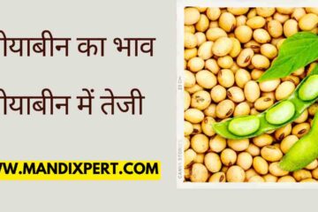 Soybean price 4 May 2024 Increase in soybean price, know today's latest soybean price