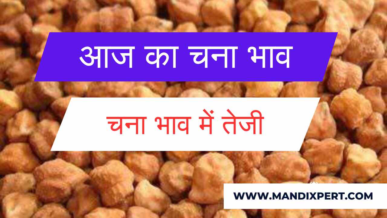 Gram price 6 May 2024 Increase in gram price, know today's latest gram price