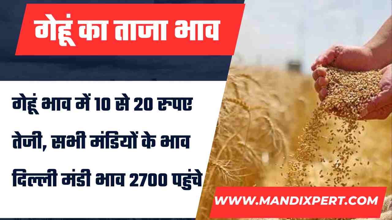 गेहूं का रेट 4 जुलाई 2024