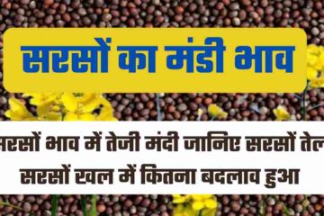 Mustard price today 19 july 2024