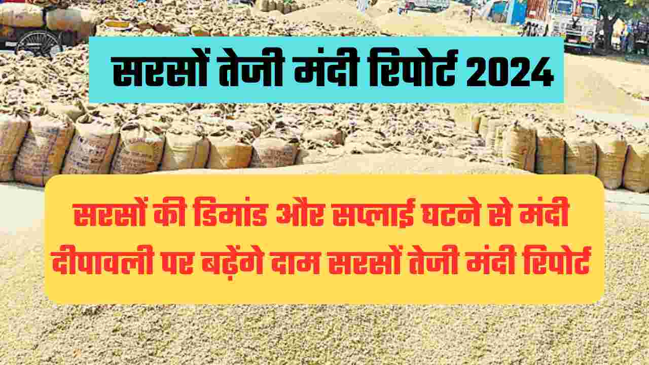 सरसों तेजी मंदी रिपोर्ट 2024