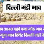 दिल्ली मंडी भाव 17 अक्टूबर 2024