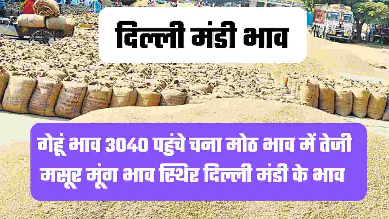 दिल्ली मंडी भाव 17 अक्टूबर 2024